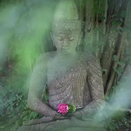 Hotel Adolphine Rotta